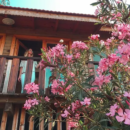 Hotel Palmira Bungalow & Camping