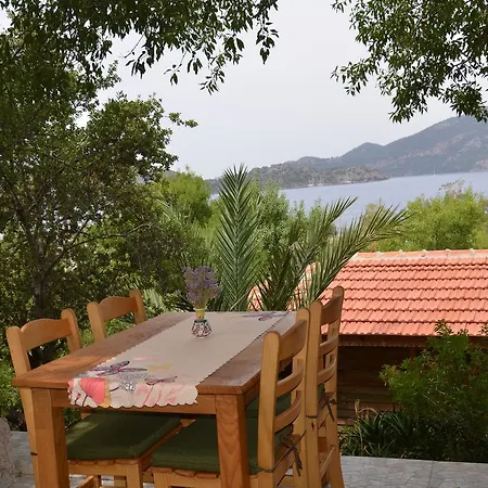 Palmira Bungalow & Camping * Σελιμιγιέ