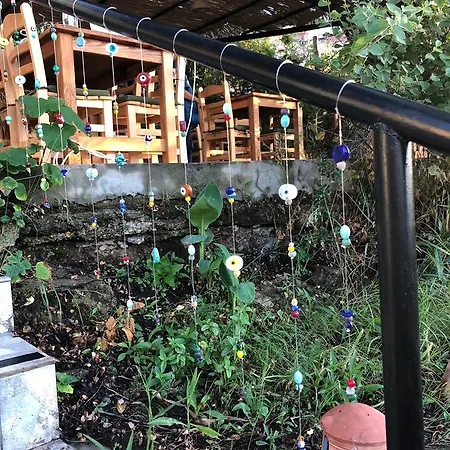 Ξενοδοχείο Palmira Bungalow & Camping