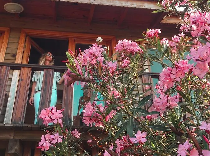 Hotel Palmira Bungalow & Camping