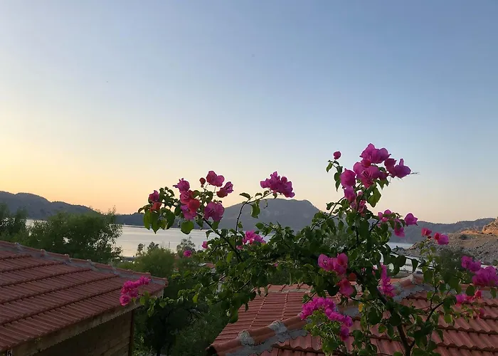 Palmira Bungalow & Camping *