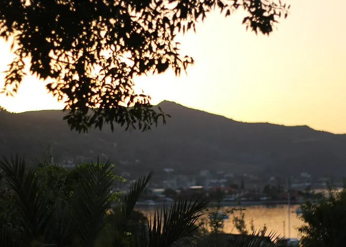 Hotel Palmira Bungalow & Camping *