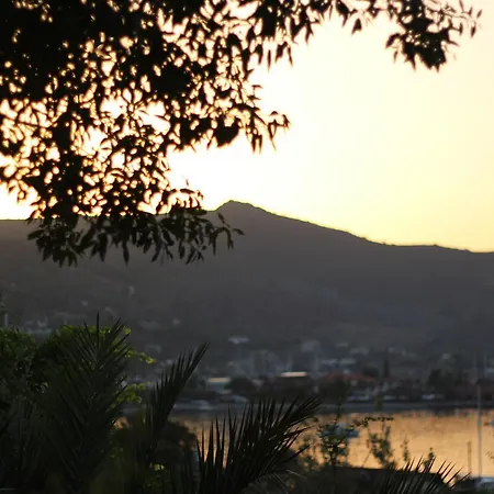 Hotel Palmira Bungalow & Camping *