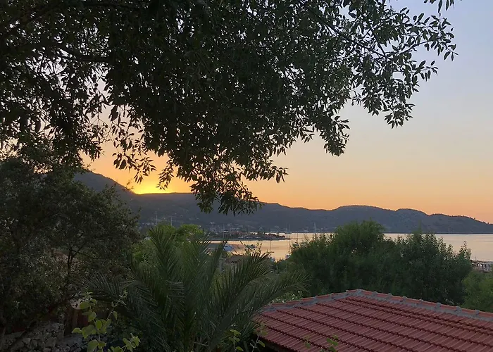 Hotel Palmira Bungalow & Camping